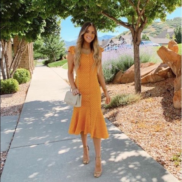 Rachel Parcell BUTTON DOWN MIDI DRESS - Picture 6 of 6